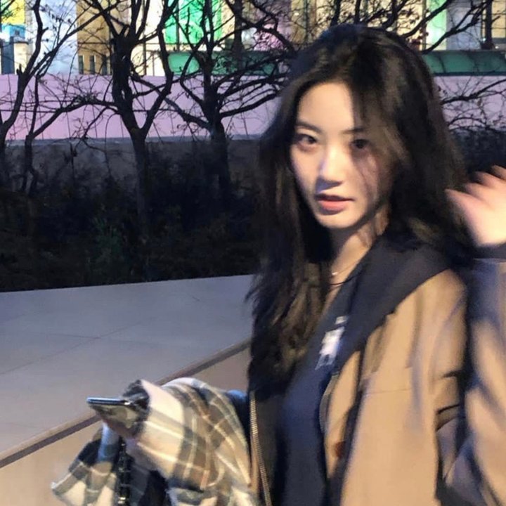 偏要摘下这朵野玫瑰