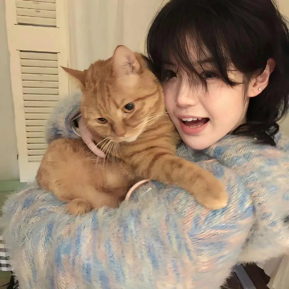 2025湖南卫视小年夜春晚